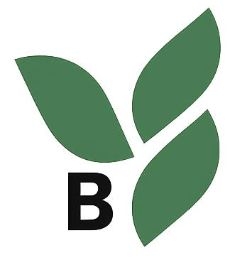 허벌라이프 백코치